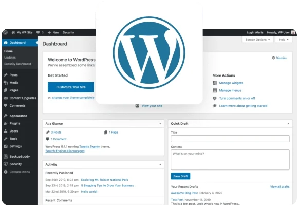<p>WordPress Development Process</p>